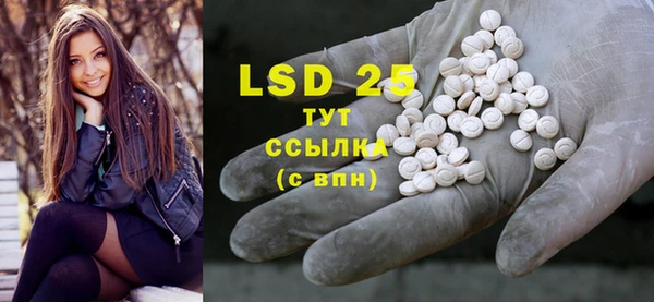 PSILOCYBIN Богородицк