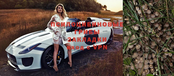 ешки Сатка