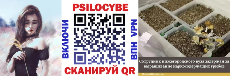 Псилоцибиновые грибы GOLDEN TEACHER Котельники